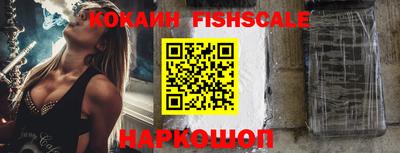 стафф Кингисепп