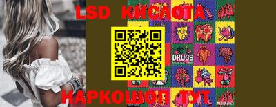 стафф Кингисепп