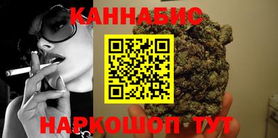 стафф Кингисепп