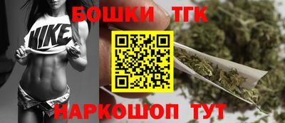 стафф Кингисепп