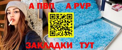 стафф Кингисепп