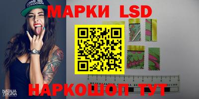 стафф Кингисепп