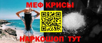 стафф Кингисепп