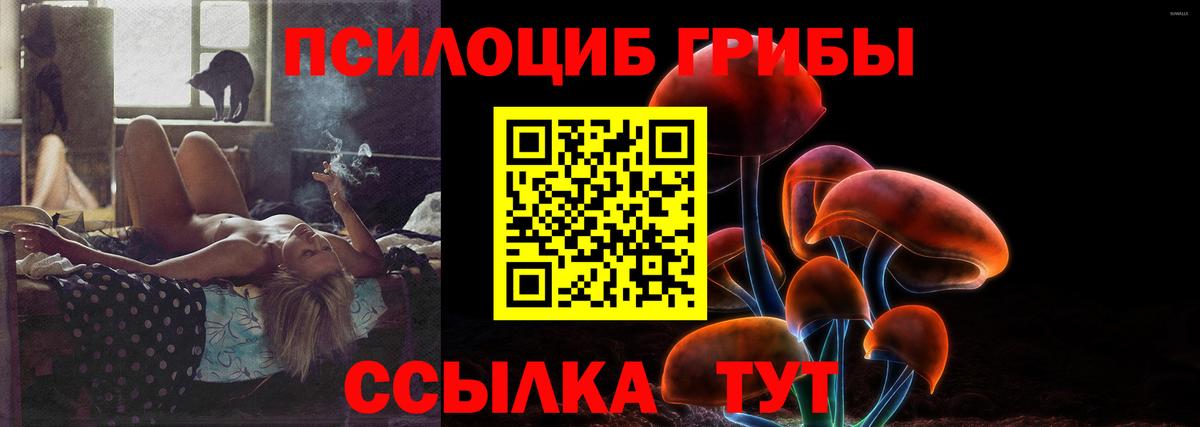 Мирный  Галлюциногенные грибы Cubensis  Вход с VPN 